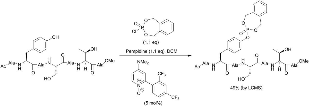 Scheme 2 Site-selective phosphorylation of a tyrosine-containing peptide.