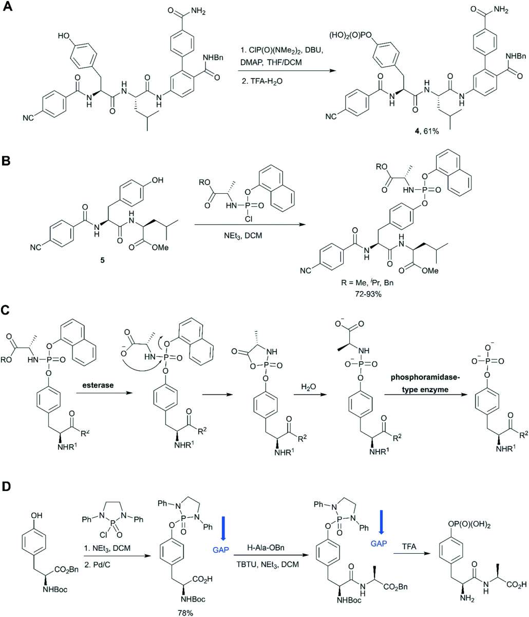 Fig. 5 Aminophosphoryl chloride approach in phosphotyrosine synthesis.