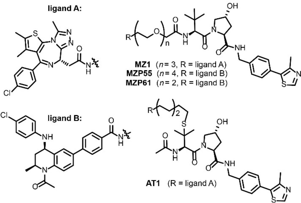 Chart 1. PROTACs Utilized in This Study