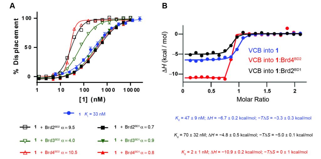 Figure 2. Binding affinity and cooperativity of ternary complex formation