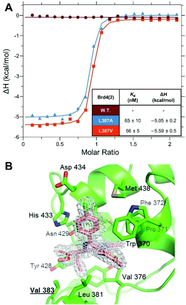 Fig. 3 Biophysical and structural characterization of novel JQ1-based bumped inhibitor