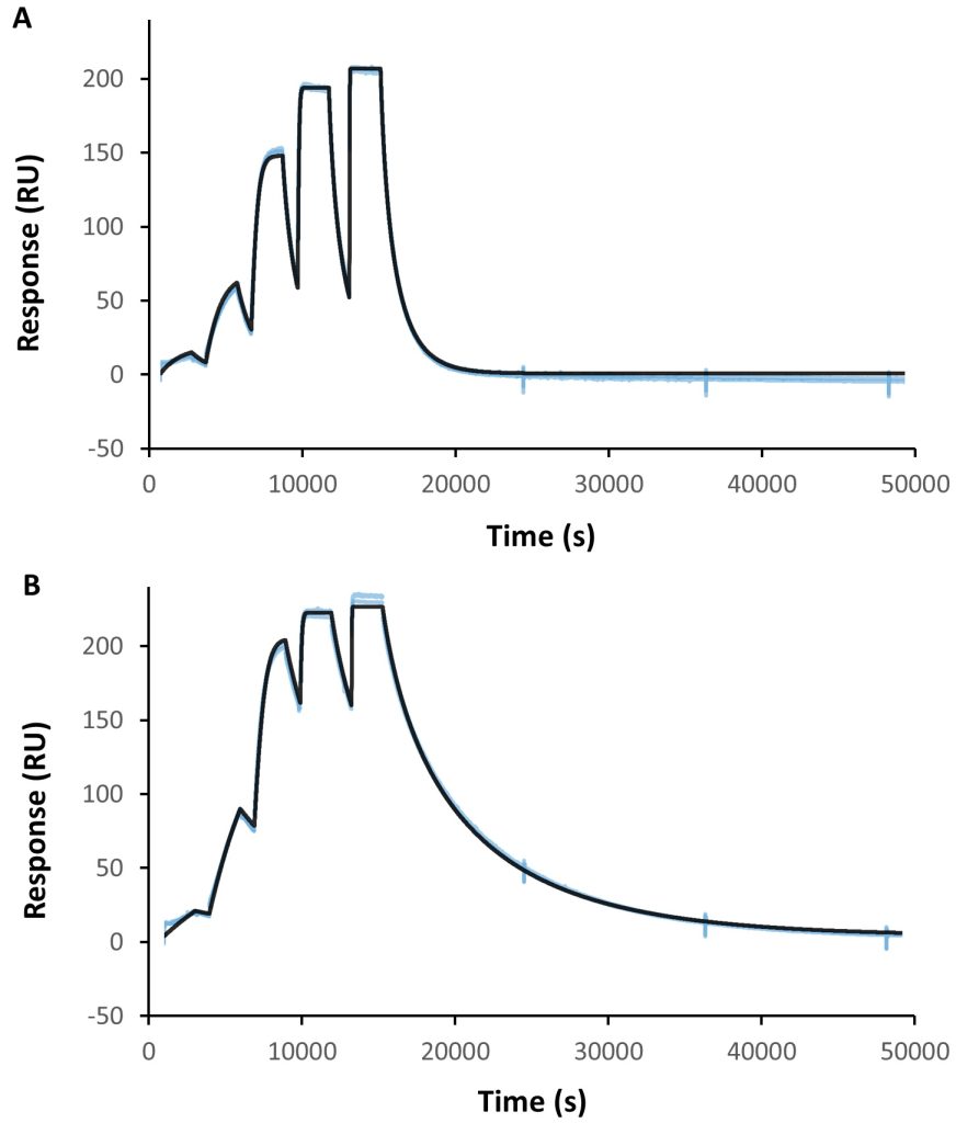 Figure 2.12 Single-cycle ternary complex SPR assays