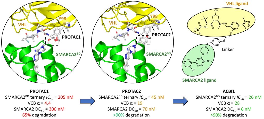 Figure 2.5 Structure-based design of SMARCA2/4 PROTAC ACBI-1