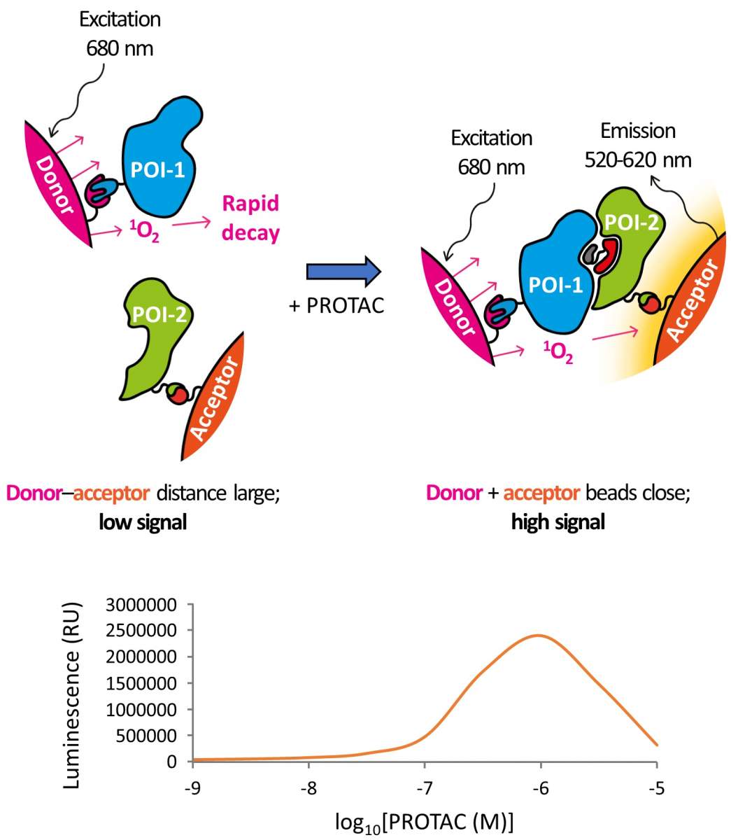 Figure 2.7 Principles of proximity-based ternary complex assays