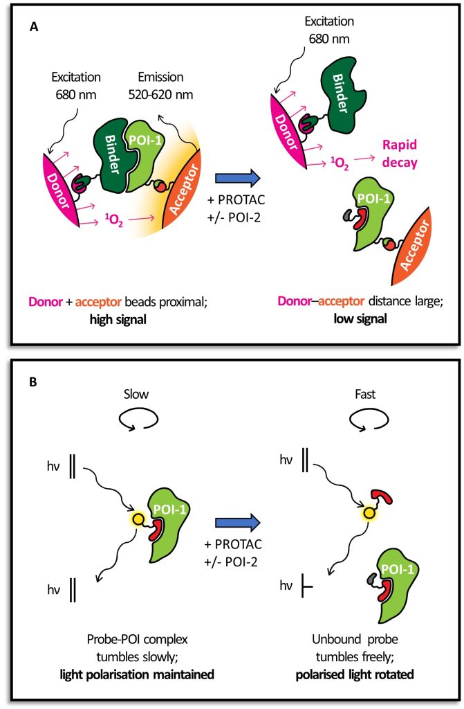 Figure 2.9 Schematic representation of competition-based assays
