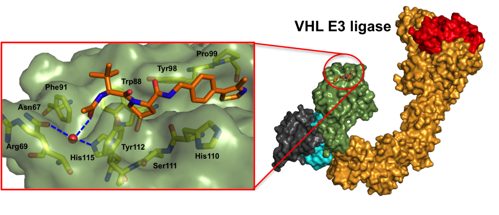 ToC graphic for on structure-guided optimization of nanomolar inhibitors of the VHL-HIFalpha protein-protein interaction