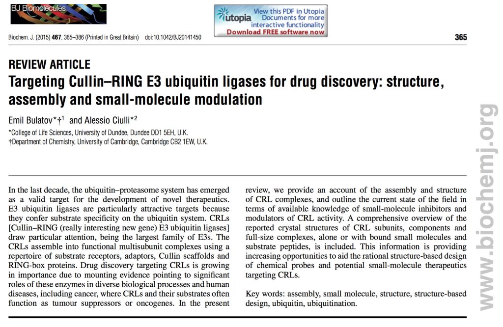 Biochemical Journal front page for structure protein-protein interaction article