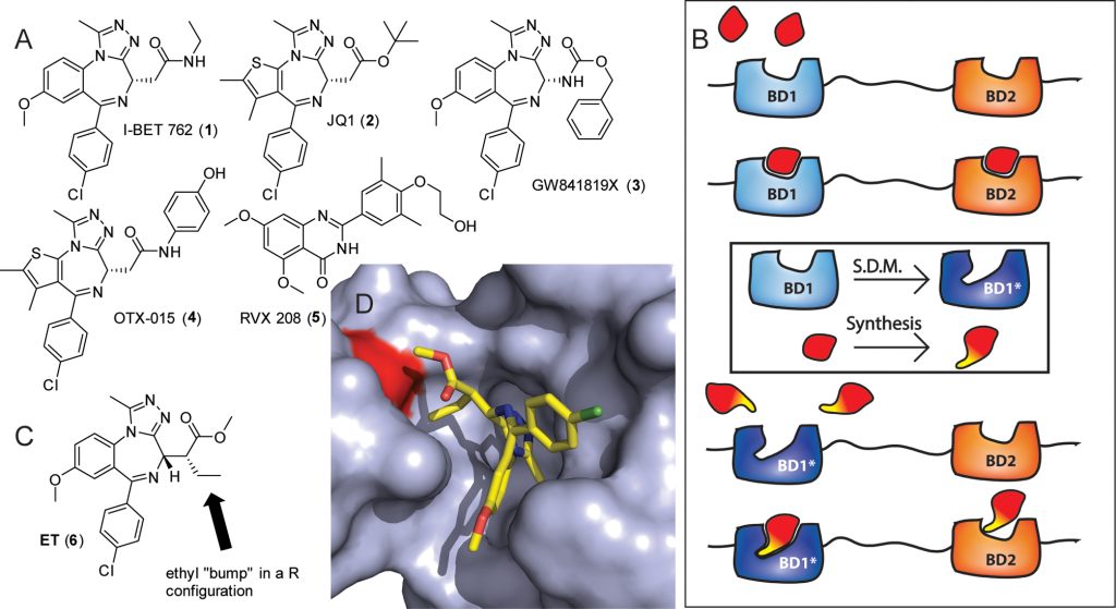 Figure 1 - triazolo-benzodiazepine chemistry to I-BET/JQ1 analogues for the bump-and-hole approach and BD2-selectivity