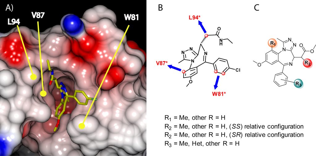 Figure 2: triazolo-benzodiazepine chemistry to I-BET/JQ1 analogues for the bump-and-hole approach and BD2-selectivity