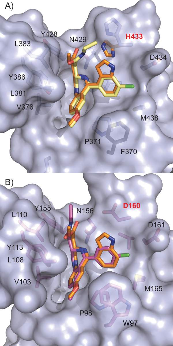 Figure 3:triazolo-benzodiazepine chemistry to I-BET/JQ1 analogues for the bump-and-hole approach and BD2-selectivity