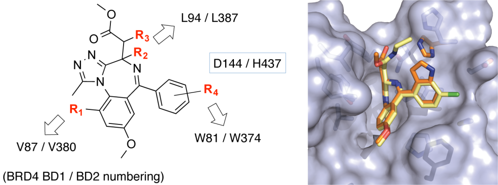 Table of contents triazolo-benzodiazepine chemistry to I-BET/JQ1 analogues for the bump-and-hole approach and BD2-selectivity