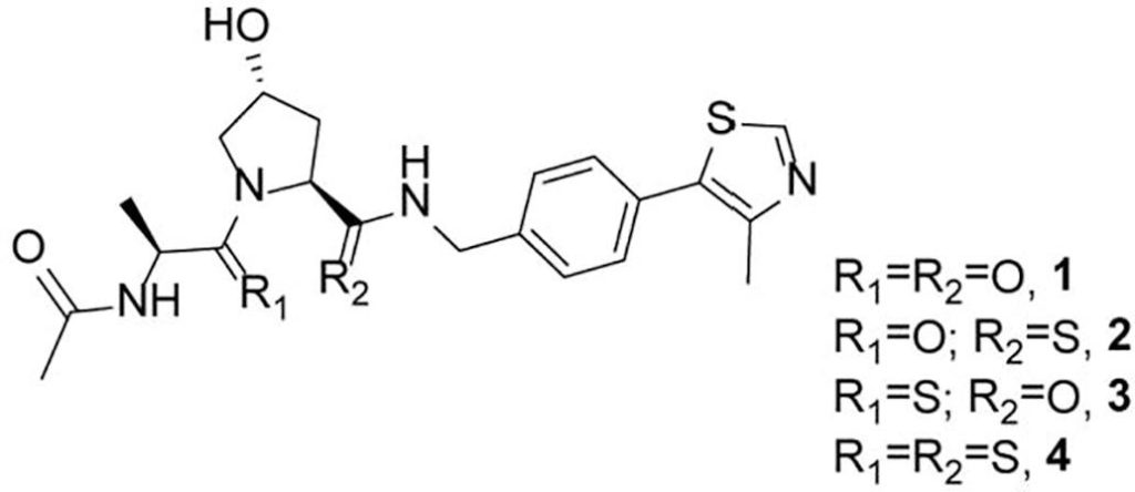Fig. 2. Chemical structure of inhibitor 1 and thioamide derivatives 2–4