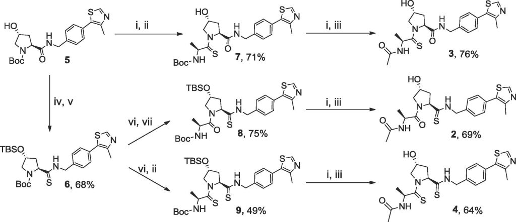 Scheme 1. Synthesis of thioamide compounds 2–4
