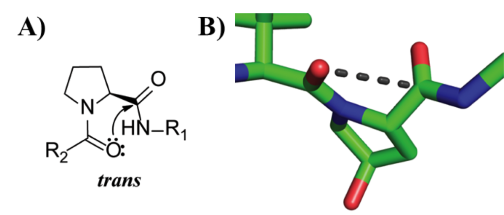 n→π* interaction in prolines and VHL inhibitors
