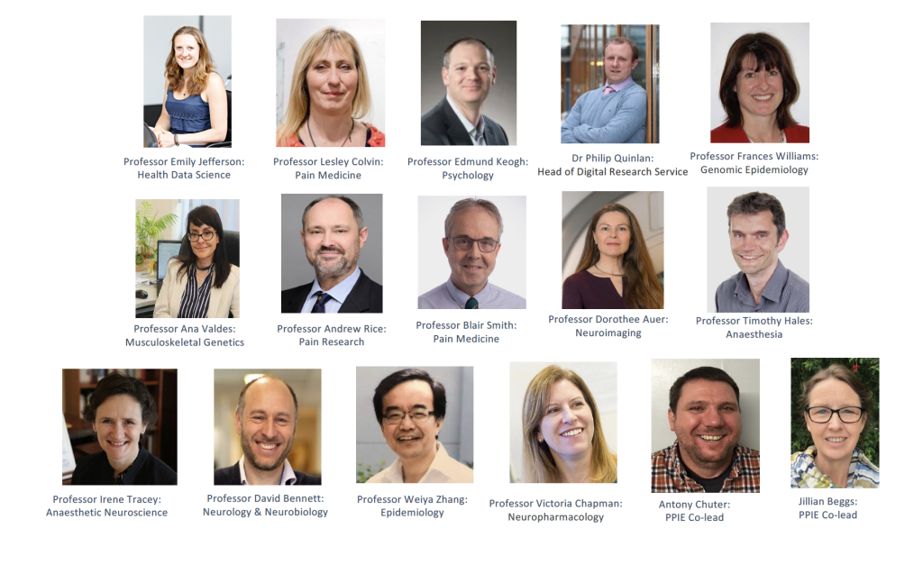 Pictures of the sixteen Co-Principal and Principal Investigators for the Alleviate Pain Data Hub.