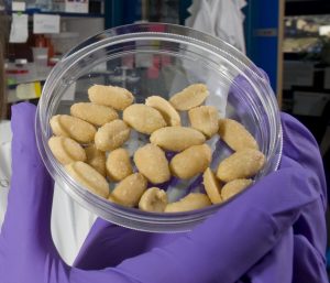 Photo of a hand holding a dish full of peanuts.