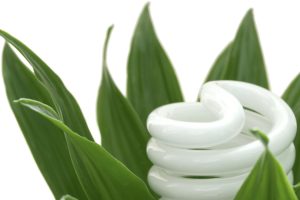 Energy saving light bulb on green plant