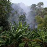Glen Isla, photograph by Stephen McLaren