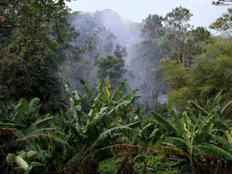 Glen Isla, photograph by Stephen McLaren