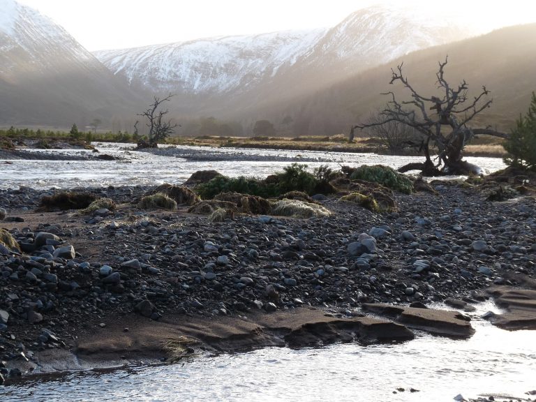 Gravel bars and isolated trees after the largest flood in 23+ years