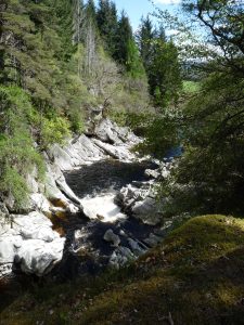 Calvine Falls Photo