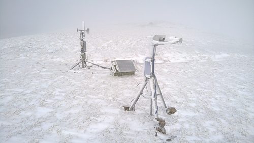 Photo in snow