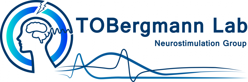 This image has an empty alt attribute; its file name is tobergmann_lab_logo-1024x338-1.png