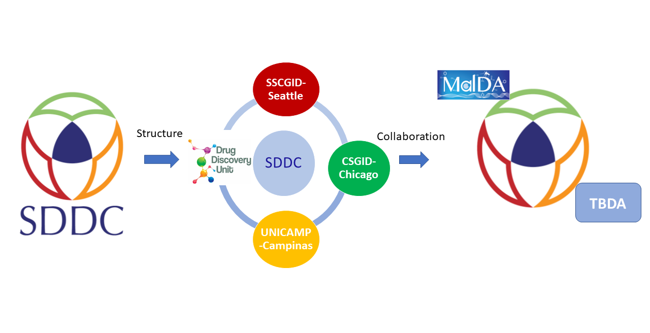 SDDC collaborative structure among DrugDiscoveryUnit (Dundee), SSCGID-Seattle, CSGID-Chicago, UNICAMP-Campinas and external collaborators such as MalDA and TBDA