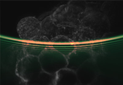 Airy light-sheet Microscopy