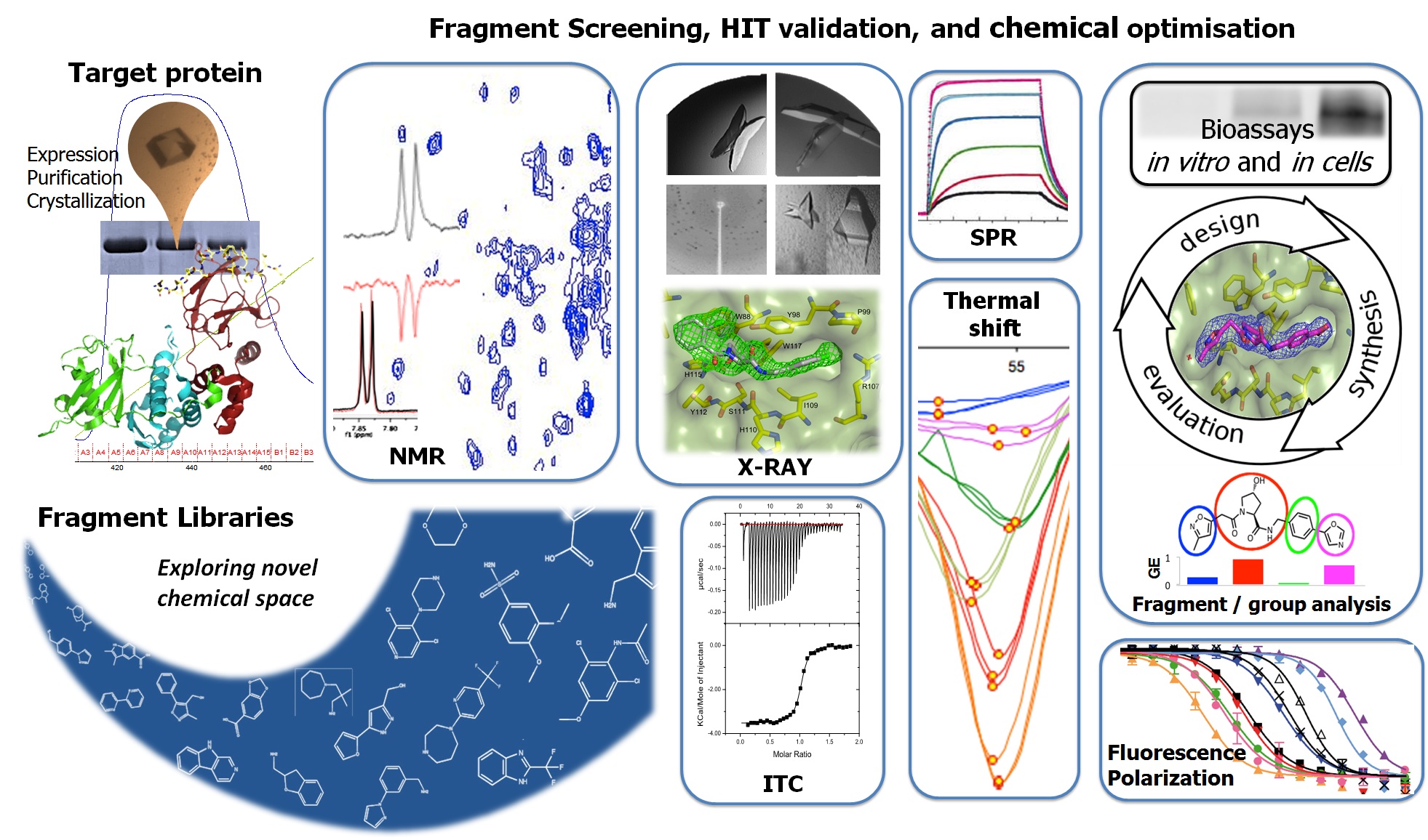 Diagram of fragment screening