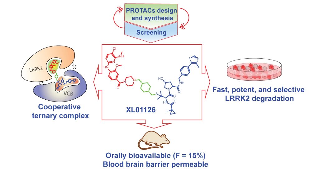 PROTACS design and synthesis