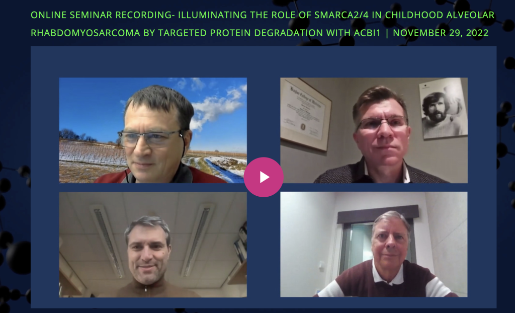 Screenshot of online seminar