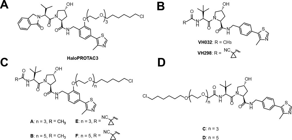 Figure 3. Chemical structures of HaloPROTAC3 and Compounds A–F