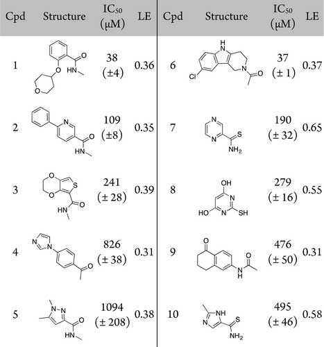 Table 1. Structures, IC50 Values Determined by AlphaScreen, and Ligand Efficiencies of Validated Fragment Hits
