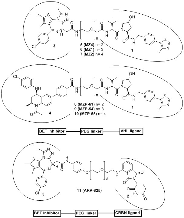 Chart 2. Chemical Structures of VHL-Targeting PROTACs Based on 4 and 3 Used in This Study and Chemical Structure of CRBN-Targeting PROTAC 11 (ARV-825)