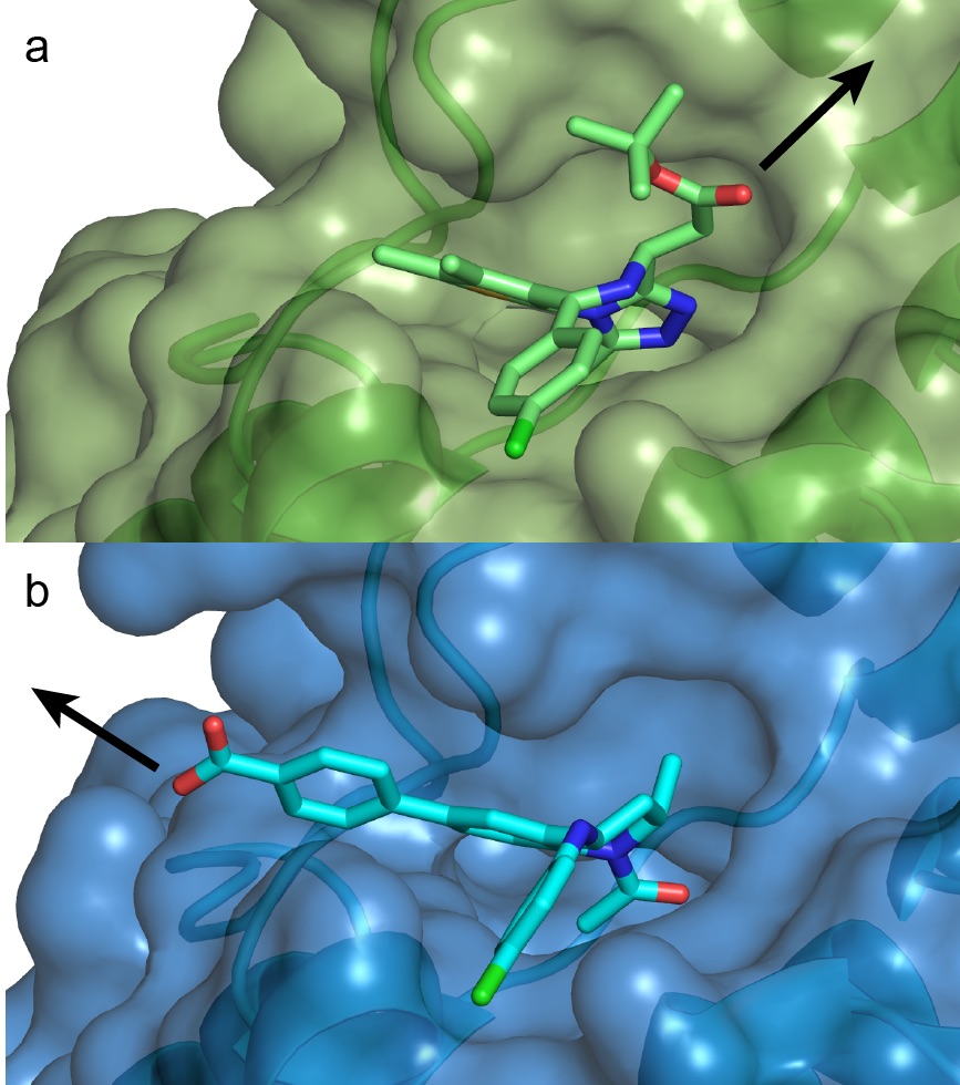 Figure 1. Co-crystal structures to guide PROTAC linking design