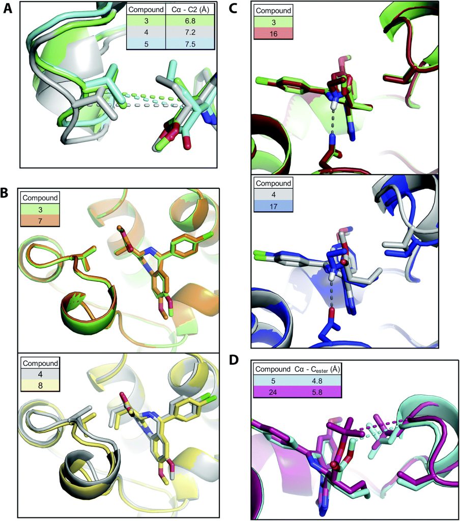 "Fig. 3 Compound modifications & BRD:ligand co-crystal structures.