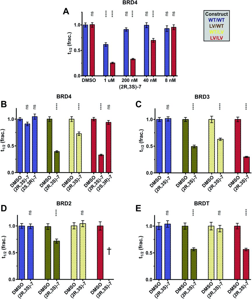 Fig. 8 Application of the bump-&-hole system to a biological question