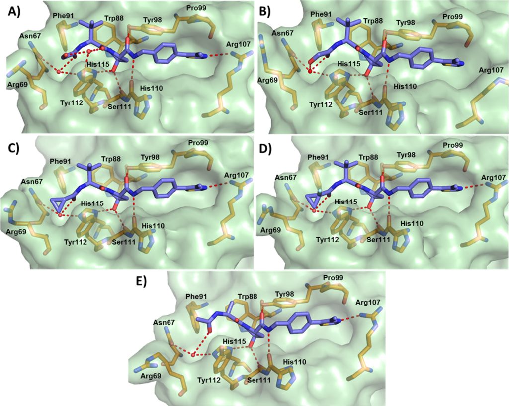 Figure 3. Co-crystal structures of first-series inhibitors