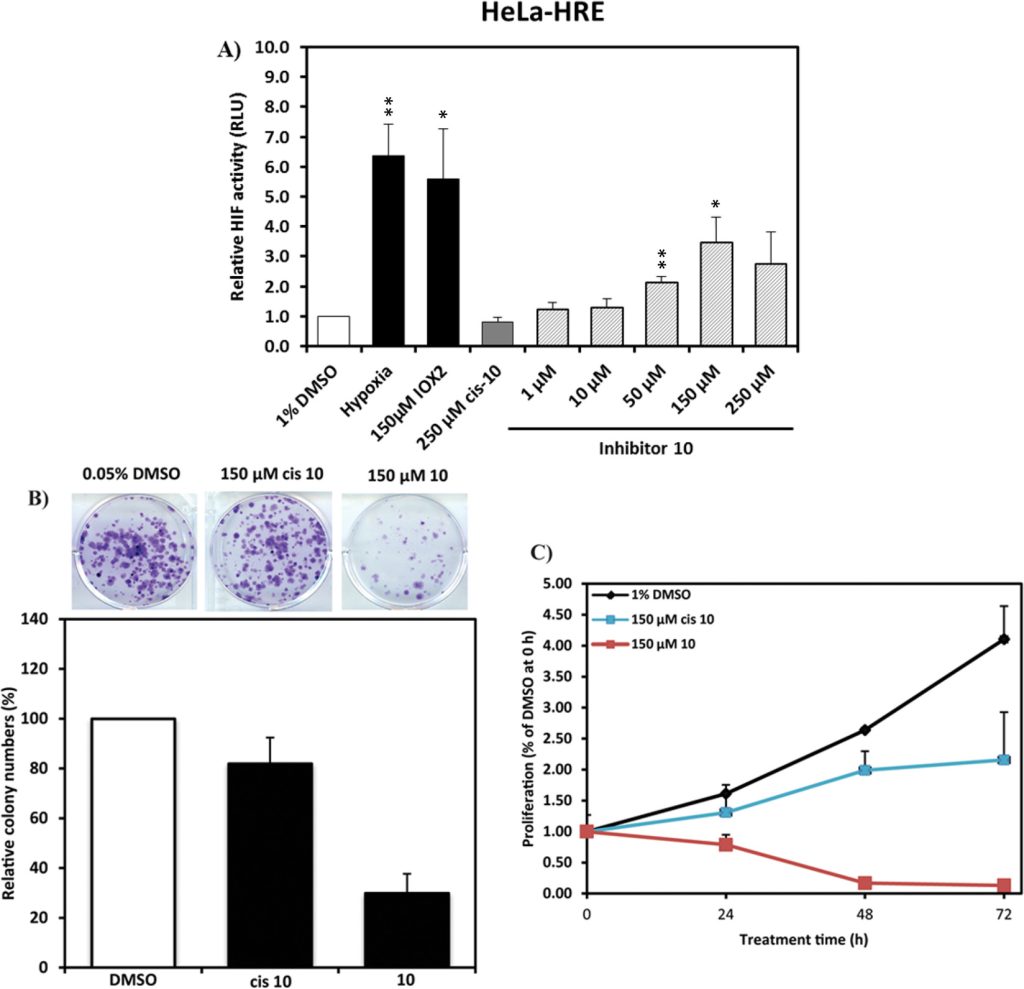 Figure 4. Cellular activity and toxicity of 10