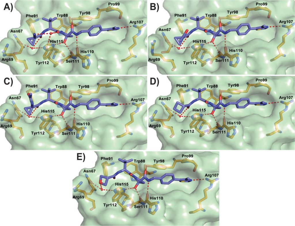 Figure 7. Co-crystal structures of second-series inhibitors