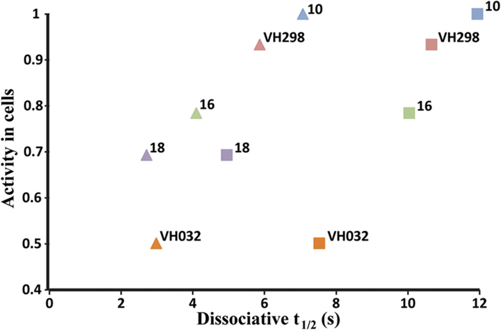 Figure 9. Activity in cells vs half-life dissociation from VBC protein complex.