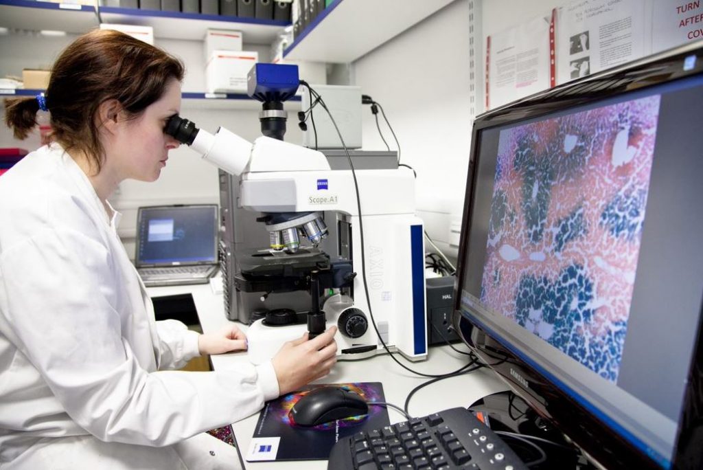 Researcher sitting at microscope