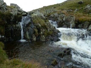 photo in medium flow